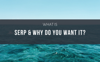 What is SERP & why does your business want it?