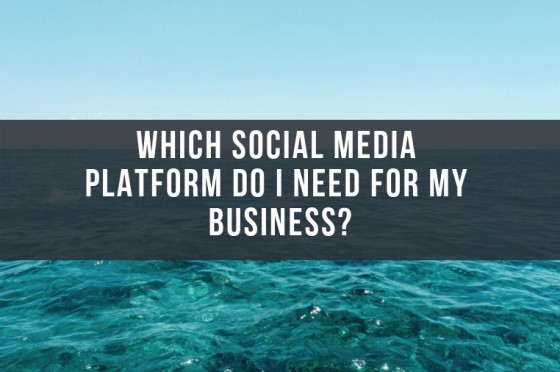 Which social media platform do I need for my business?